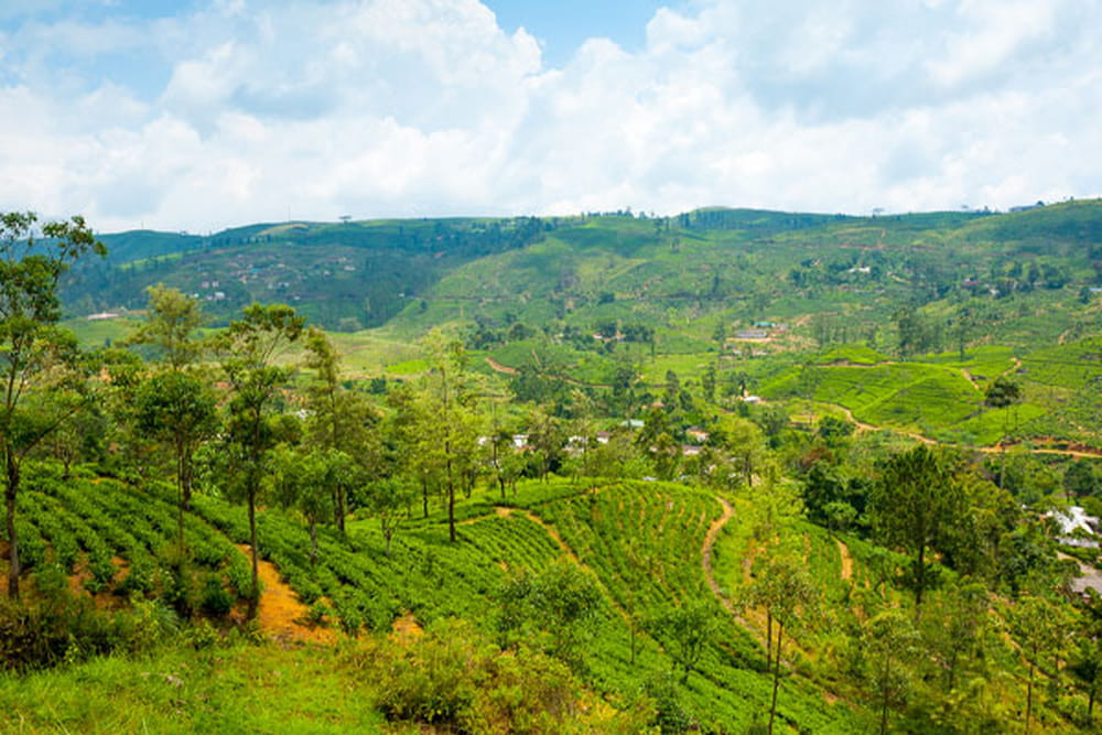 ��������� ������� ���������