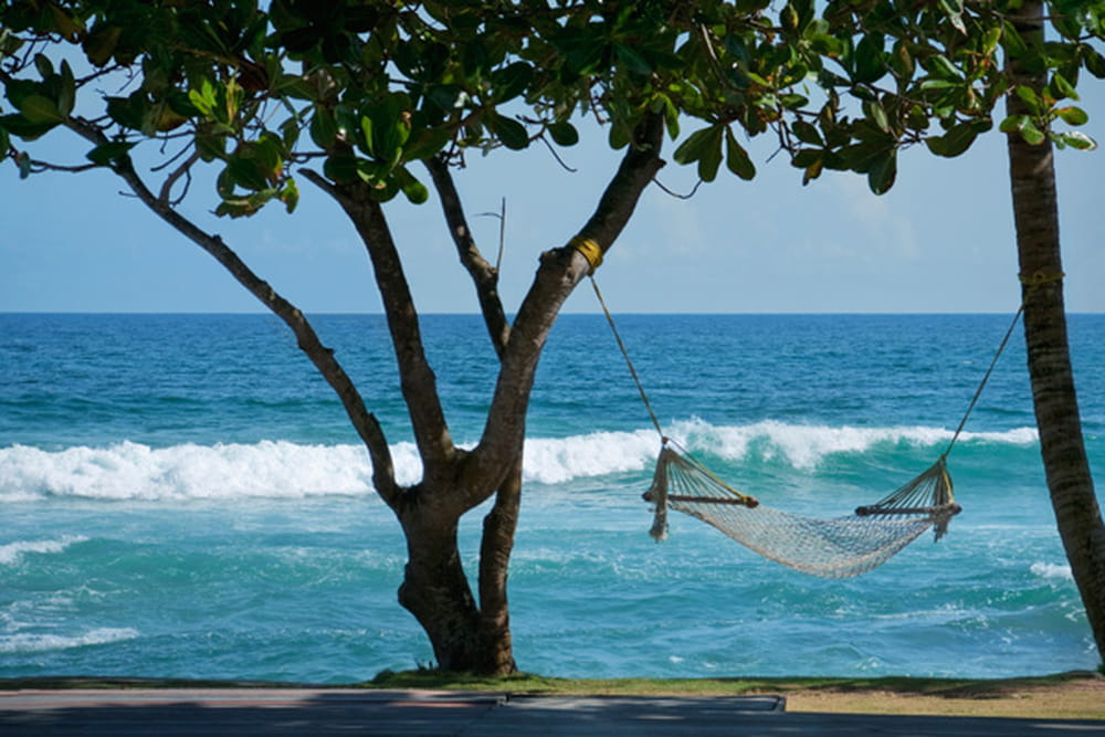 ��������� ������� ���������