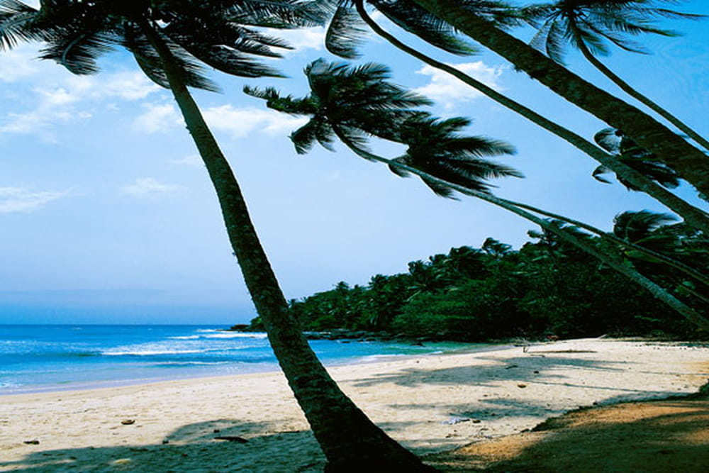 ��������� ������� ���������