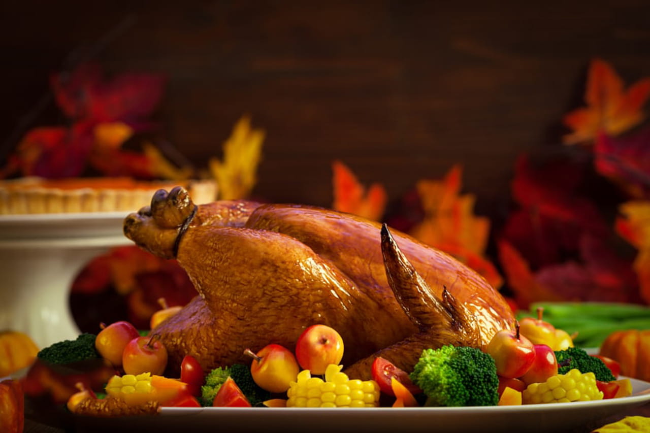 ����� ������ ������� �������