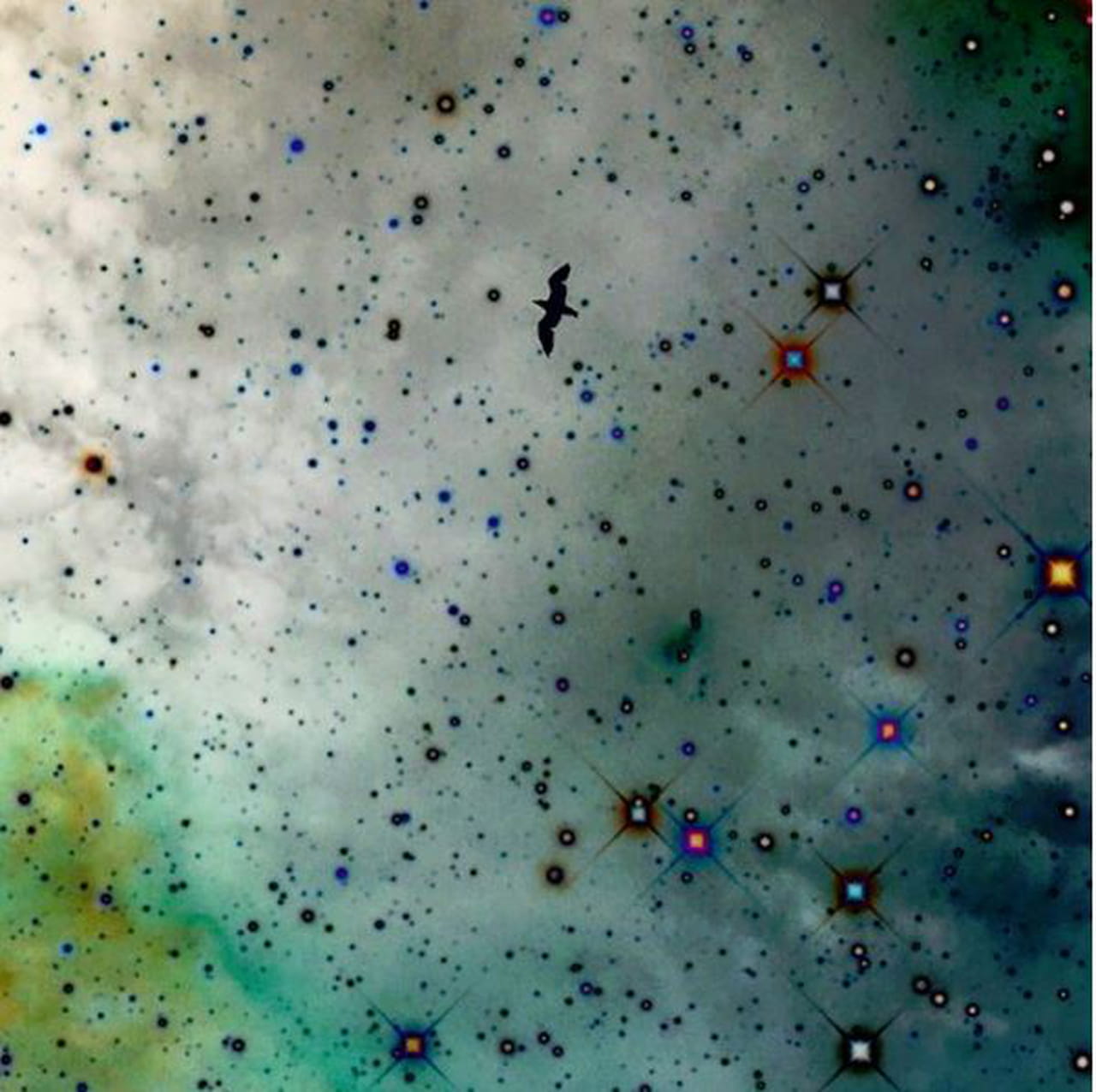 annonce rencontre enceinte