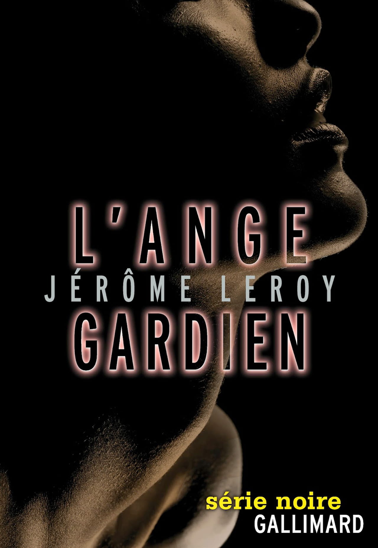 Jérôme Leroy, L’Ange gardien une grande densité des personnages