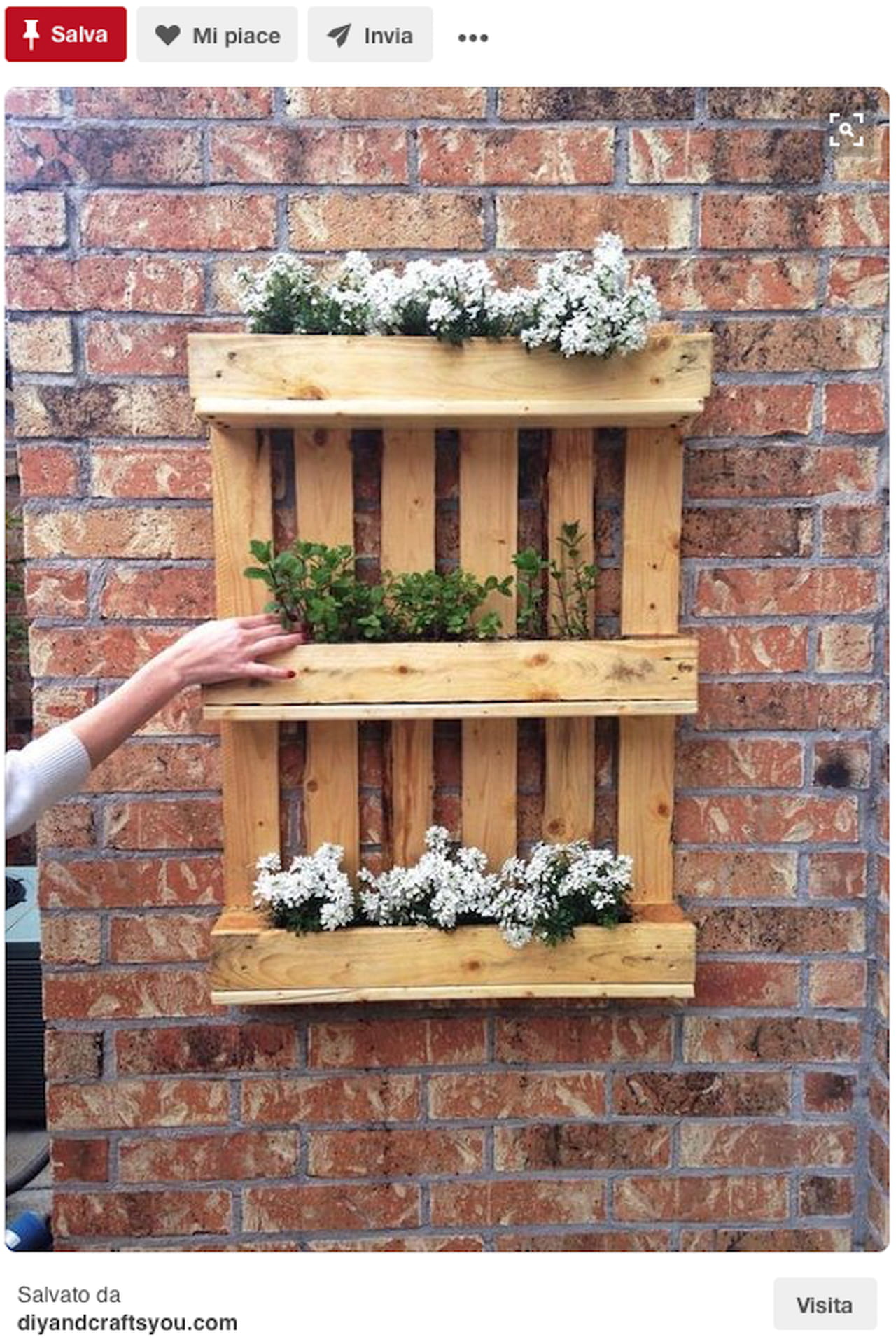 Creazioni fai da te: idee giardino da pinterest Creativo Giardino Fiorito
