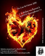 Je déclare ma flamme à la SFFFH francophone !
