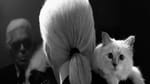 La chatte de Karl Lagerfeld, héroïne littéraire