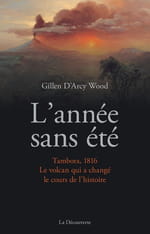 L'année sans été, climat et Histoire