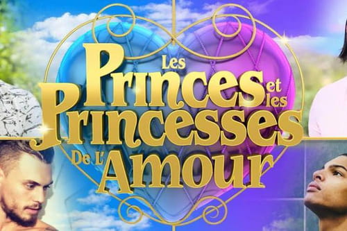 Les Princes Et Les Princesses De L Amour 5 Replay Les Princes et les Princesses de l'amour (LPDLA5) : Casting, date