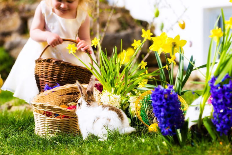 Cosa Fare A Pasquetta Con Gli Amici