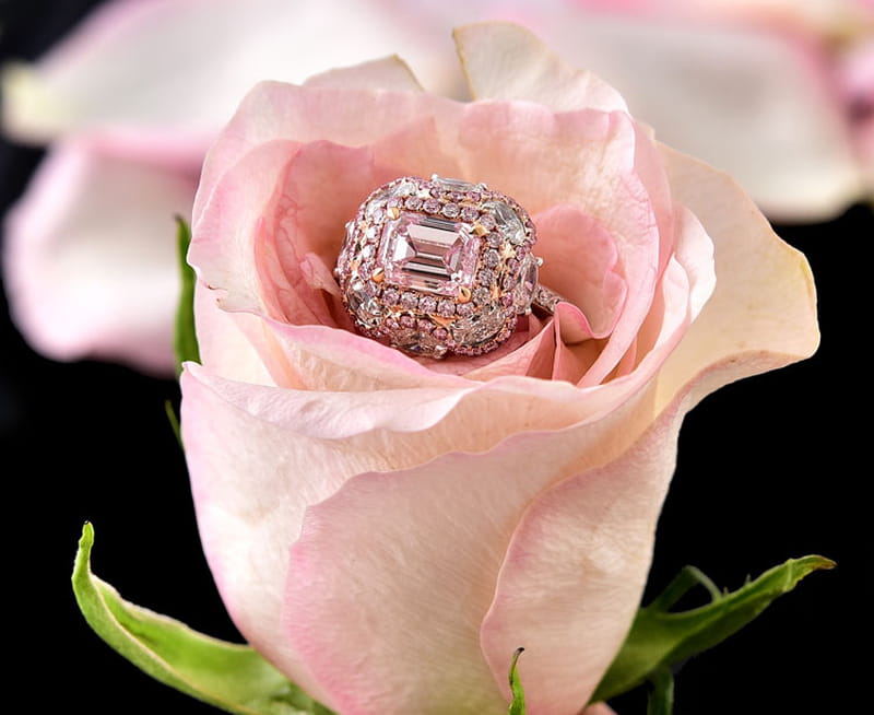 دهماني تطلق تشكيلة مجوهرات ماسية بنفحات الورود